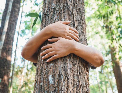 Bando “Vivi il Verde. Passeggiate Patrimoniali: Natura e Cultura 2026” – Regione Emilia-Romagna