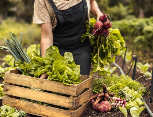 DU_AS_04B “Incentivi per investimenti nelle aziende agricole per colture innovative” – GAL del Ducato
